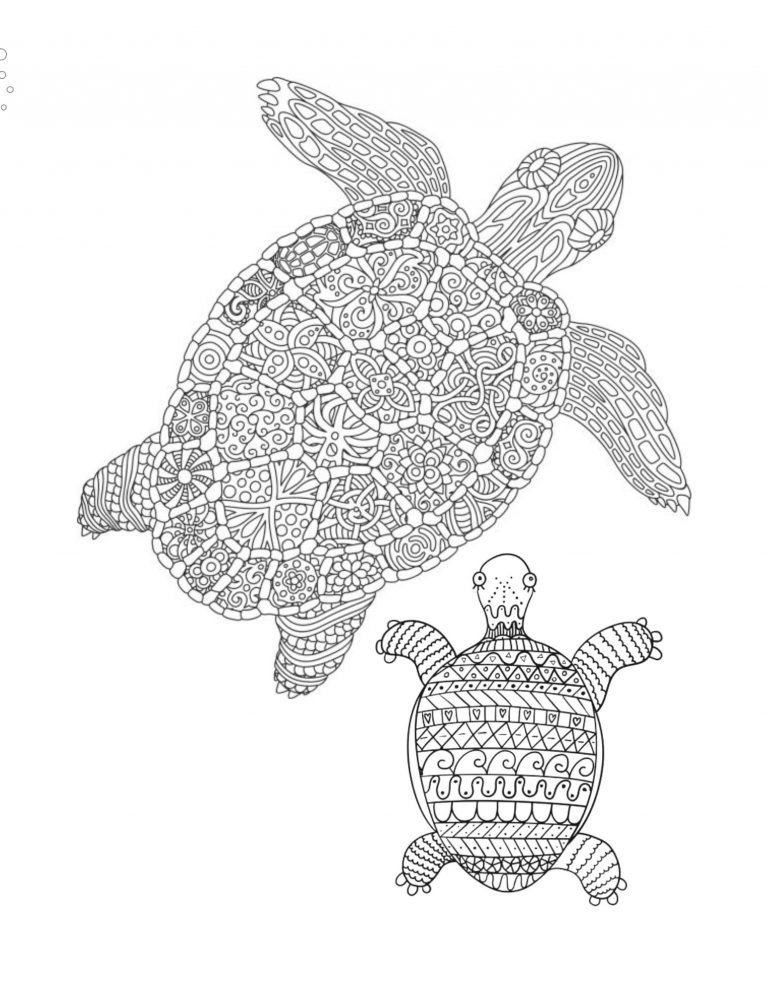 Turtles Coloring Book Save the Planet 108 Pages 8.5 x 11 for All Ages by JKL
