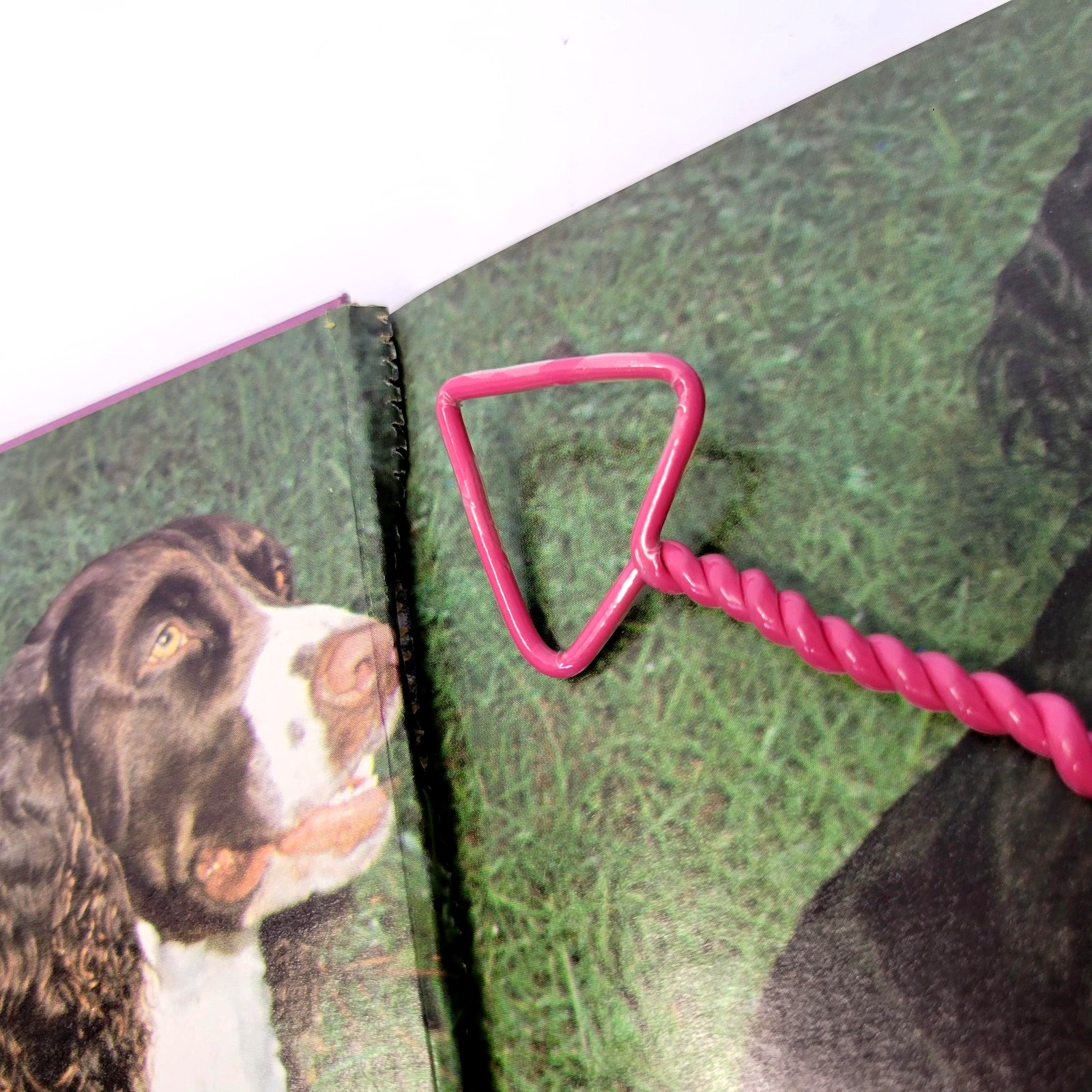 Vintage English Springer Spaniels Diane McCarty T.F.H. Purple HC Dog Care 1983