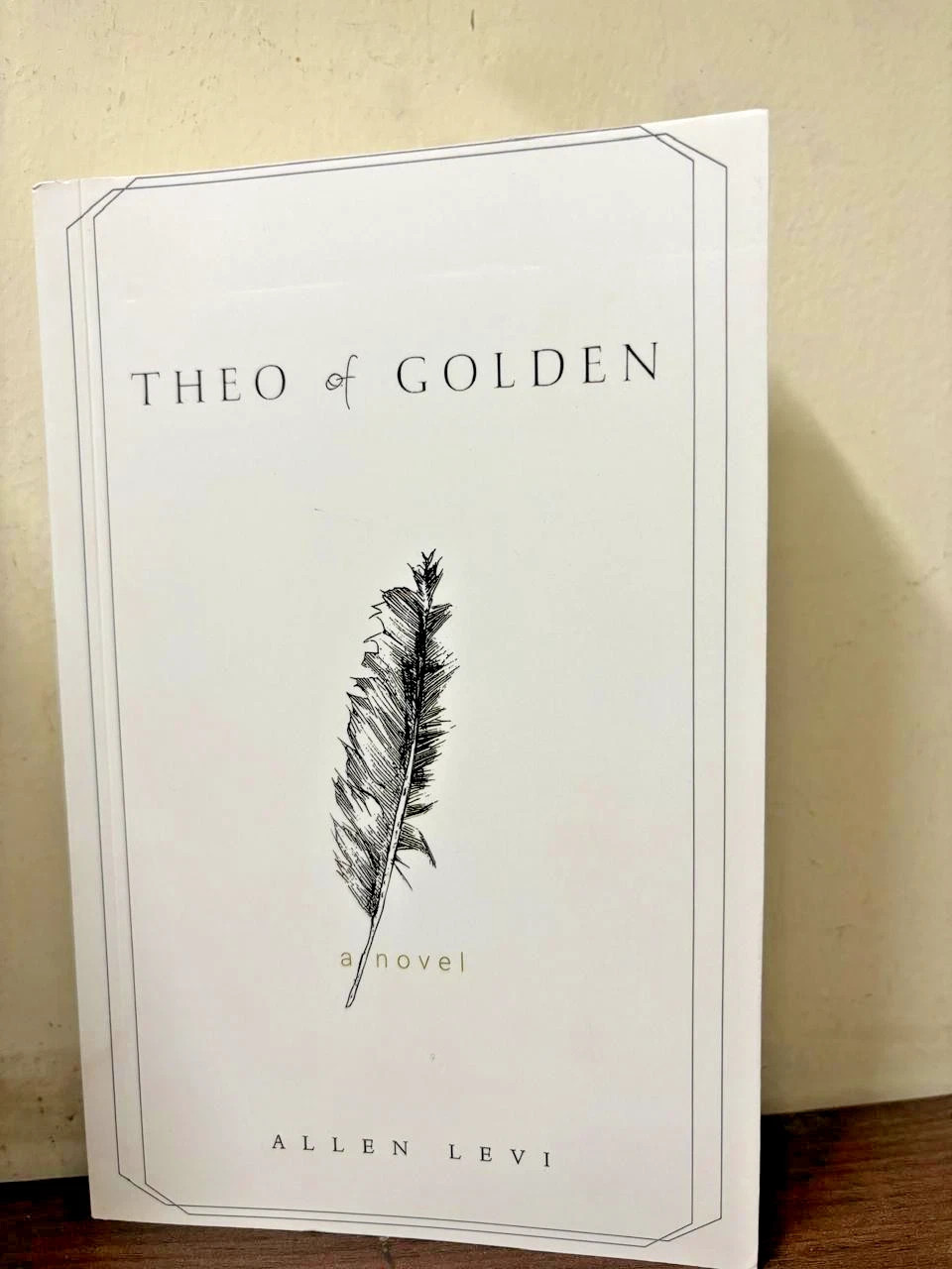 Theo of Golden Paperback by Allen Levi New book usa stock