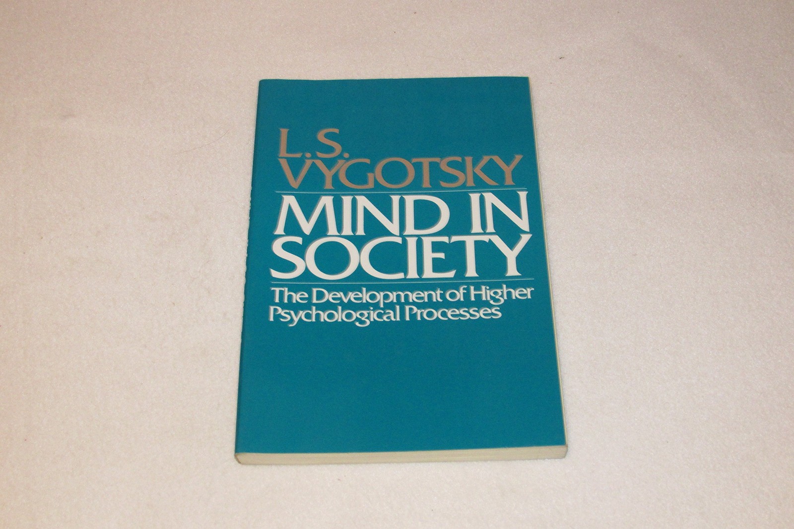 Mind in Society: The Development of Higher Psychological Processes