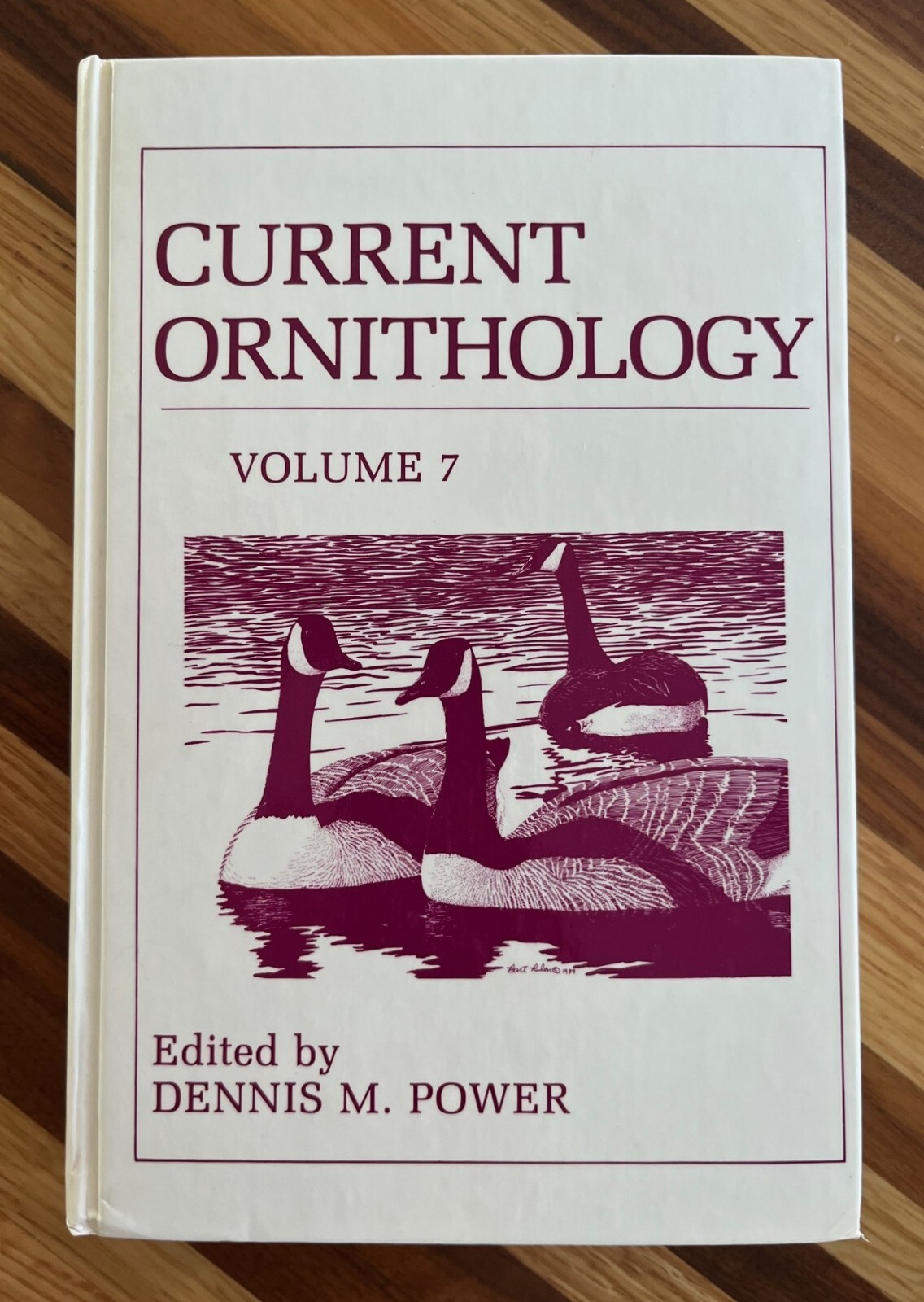 Current Ornithology, Volume 7, D.M. Power (edited), 1990, Hardcover