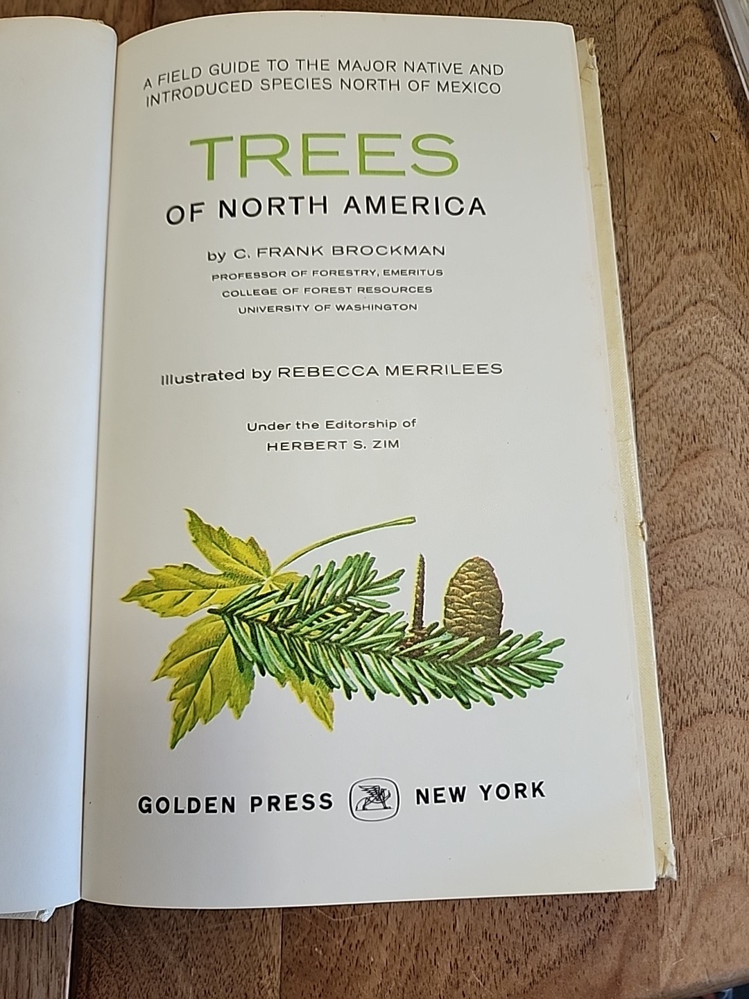 A Guide To Field Identification Trees of North America 1968 Golden Field Guide
