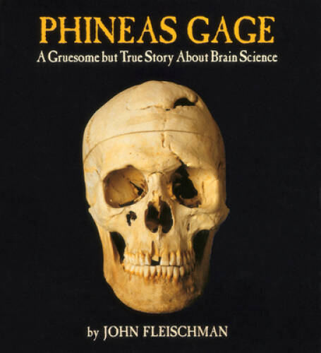 Phineas Gage: A Gruesome but True Story About Brain Science — VERY GOOD