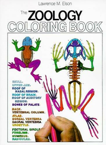 The Zoology Coloring Book — Paperback By Elson, Lawrence M. — GOOD
