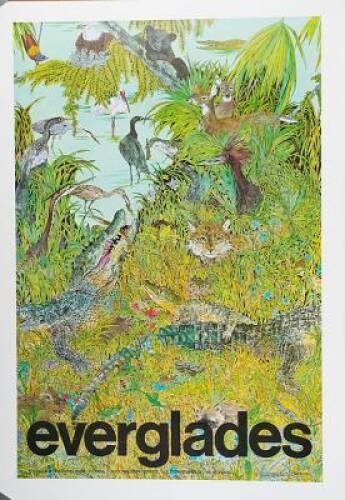 Everglades Wildguide — Paperback By George, Jean Craighead — GOOD