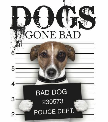 Dogs Gone Bad — Hardcover By Amber Books — VERY GOOD